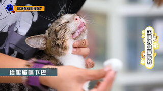 第9集 寵物都有心理病？