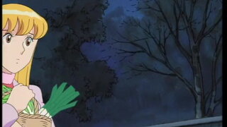 第228集