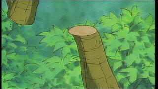 第31集