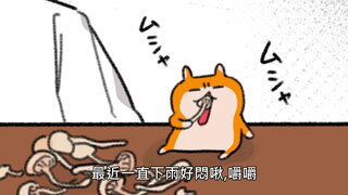 第40集