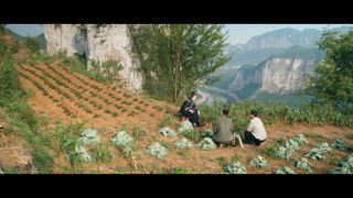 第8集 烏蒙三顆草