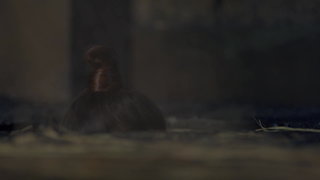 第18集