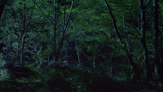 第33集
