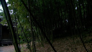 第40集