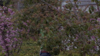 第8集