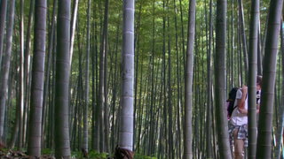 第1集