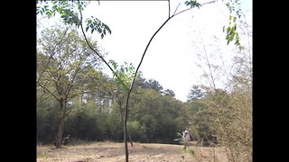 第15集