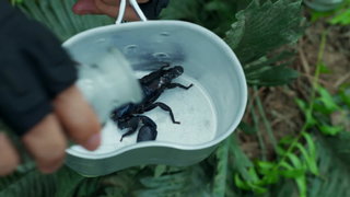第16集