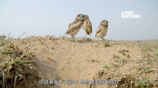 第3集 洛斯亞諾斯戰士