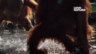 第8集 嚴厲的愛