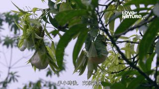 第1集 從雲端到海岸