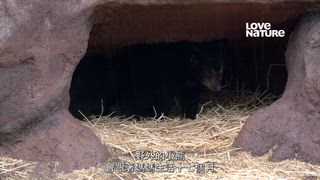 第3集 多多益善