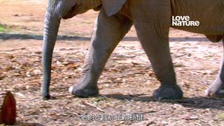 第2集 群體心態