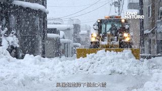 第1集 1到2月：一年之初