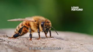 第1集