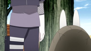 第81集