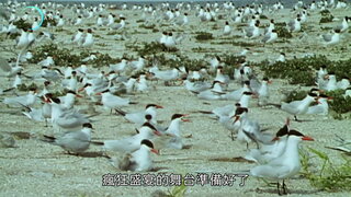 第5集