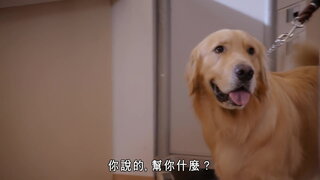 第13集