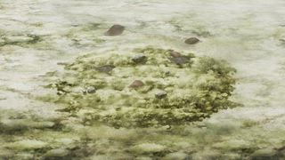 第5集 兩人一心