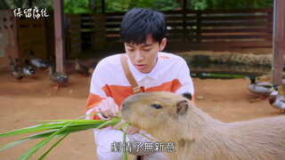 第1集