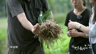 第2集 化繁為簡