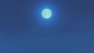 第255集 在天空飛的魚／偏心的偏心樹