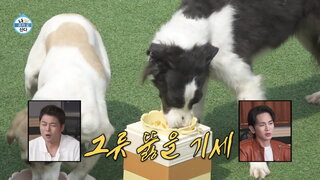 20240524期 下集(朱賢英、全炫茂)