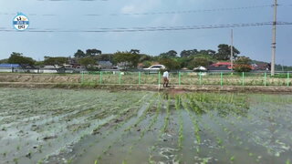 20250613期 上集(高康容、全炫茂、具成煥)