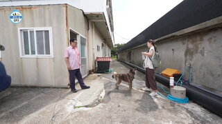 20260710期 上集(俞利)