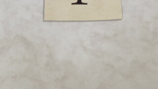 第8集 第一對第十三