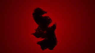 第13集