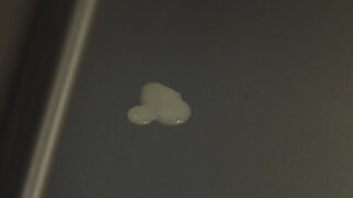 第1集