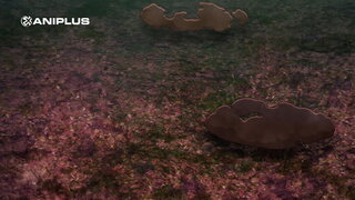 第1集