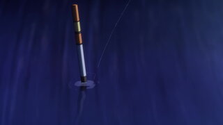第28集 盲目