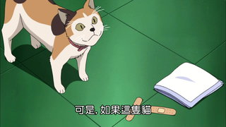 第805集 招財三毛貓事件(下)