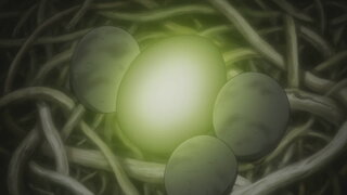第11集