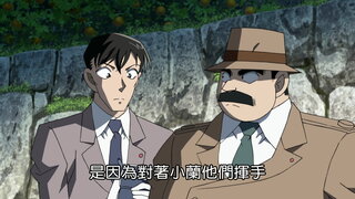 第979集 夕陽下的橘子園