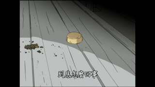 第391集 不可思議的春季甲蟲
