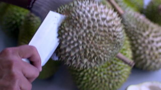 第1集