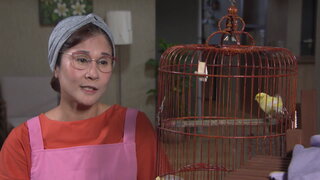 第94集