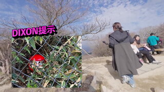 第15集 野外定向贏取松阪和牛