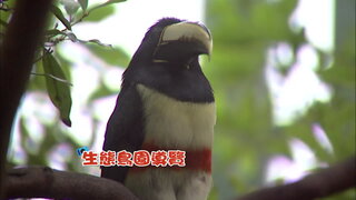 第10集