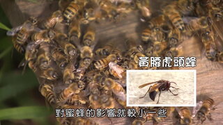 第1集