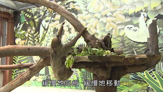 第11集