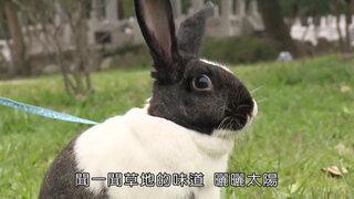 第12集