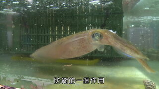 第2集