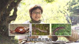 第3集