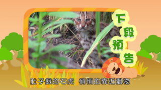 第4集