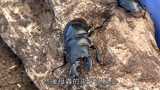 第5集