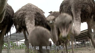 第6集
